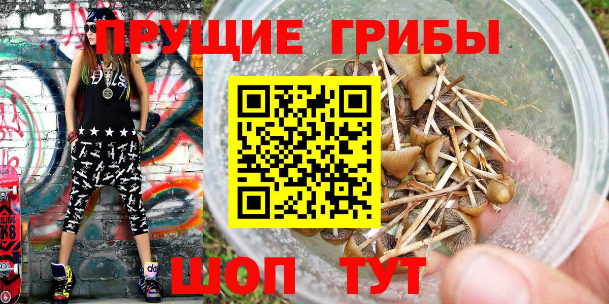 Псилоцибиновые грибы Psilocybe  Вход с VPN  Ангарск 